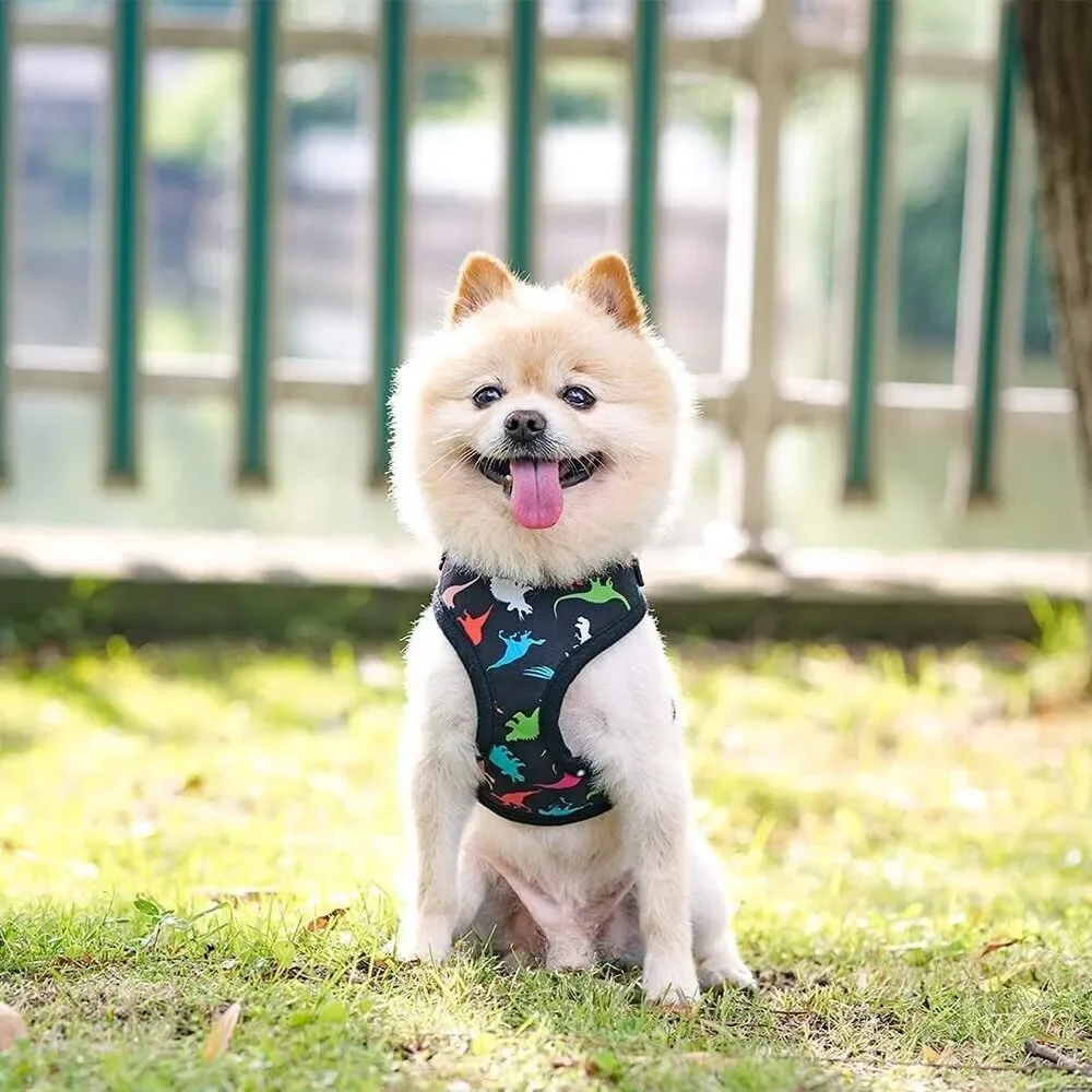 Small Dog Harness - No Pull & No Choke Dog Vest Harness w/ Neck Adjustable Cute